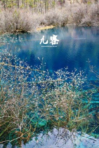 脑洞小老弟无实名认证