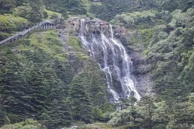召唤神龙万宁版祖龙